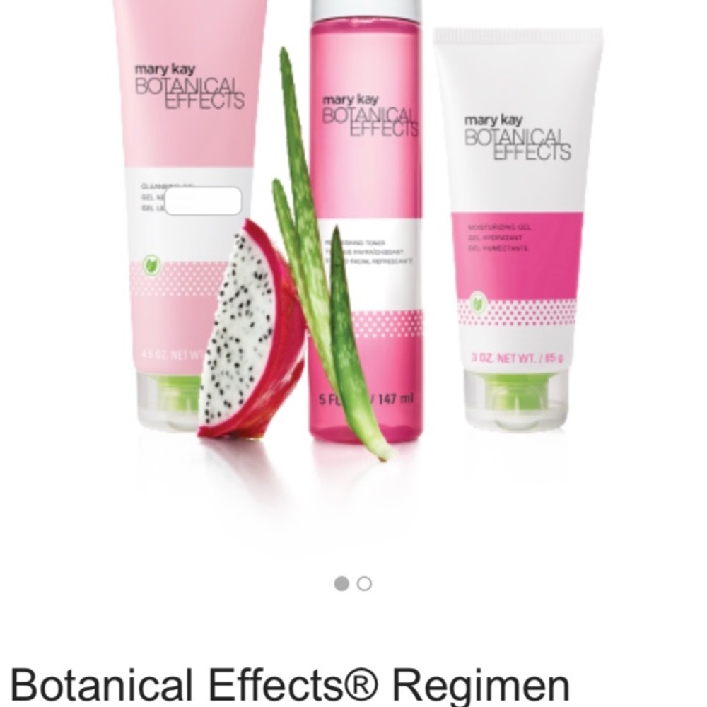 Mary Kay botanicals set